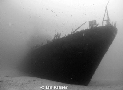 P29 Patrol boat in 36metres
Taken with an Olympus 5000z... by Ian Palmer 